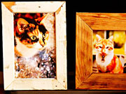 Photo frames made of planed fence wood and an old window